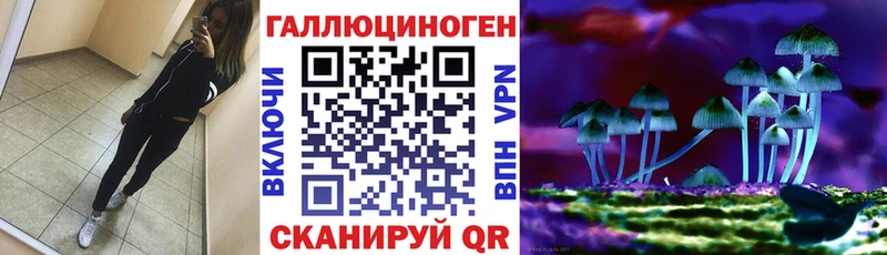 Галлюциногенные грибы Cubensis Химки